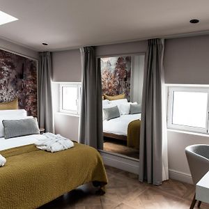 Suite con Cama King